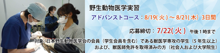 アドバンス