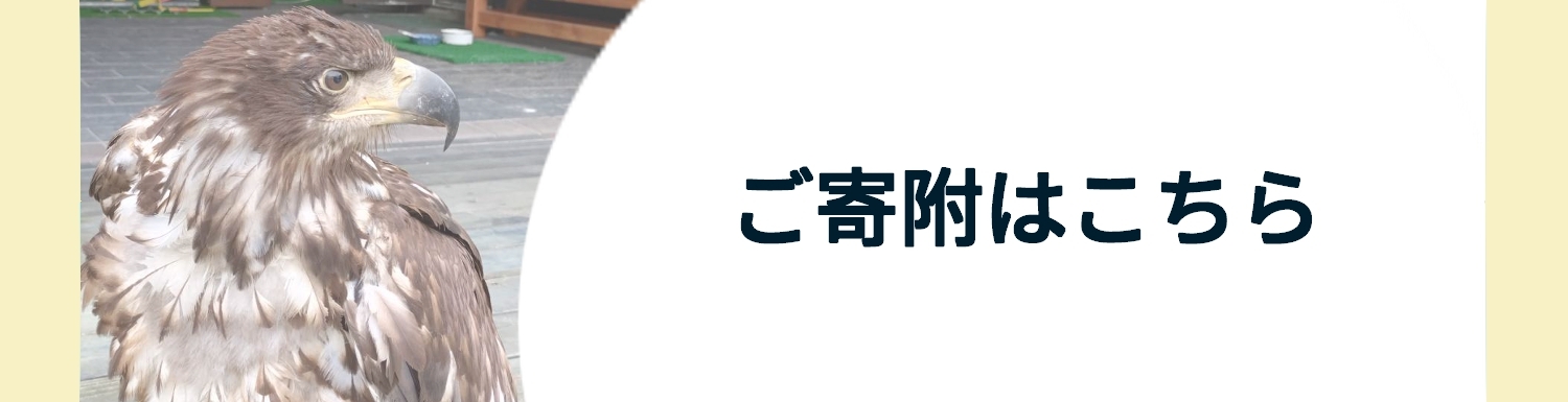 クレジットカードにる寄附